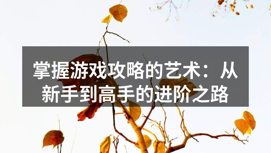 掌握游戏攻略的艺术：从新手到高手的进阶之