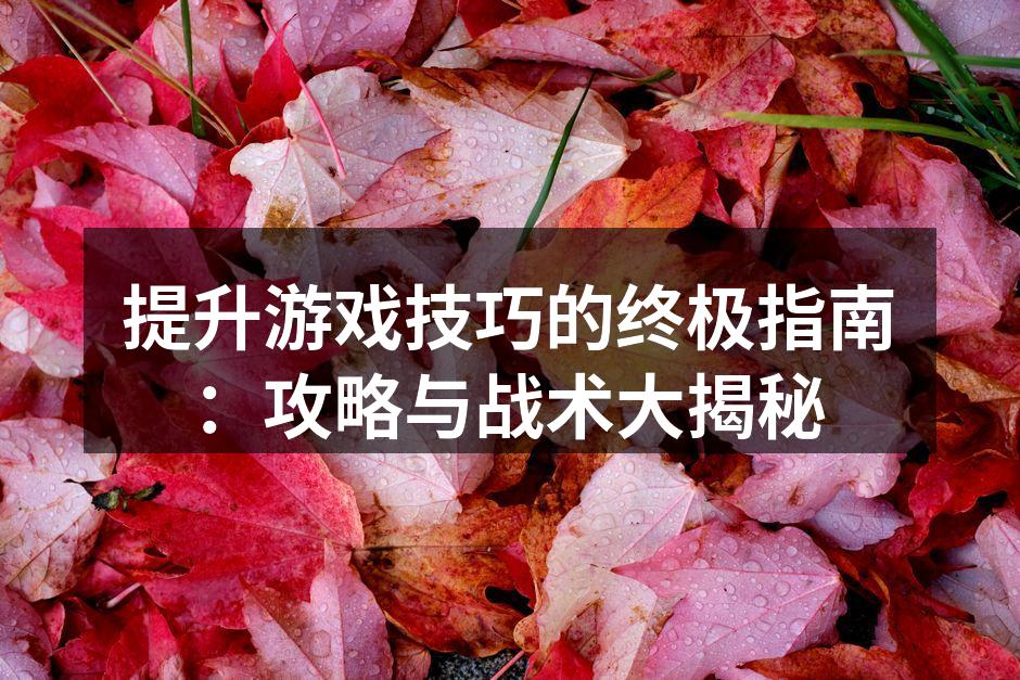 掌握游戏技巧,提升胜率